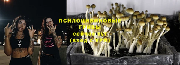 каннабис Алексеевка