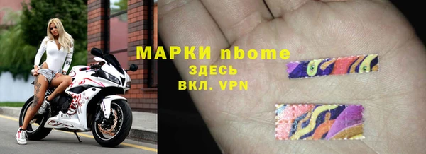 индика Алзамай