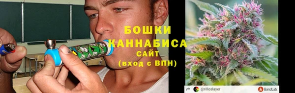 сатива Алексин