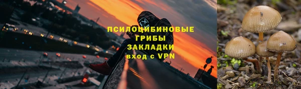 индика Алзамай
