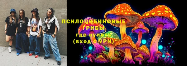индика Алзамай