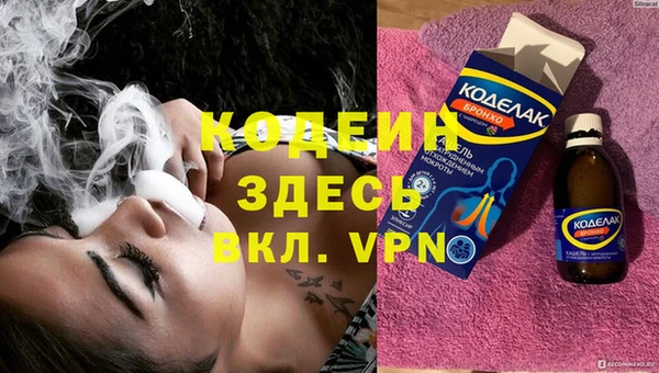 индика Алзамай