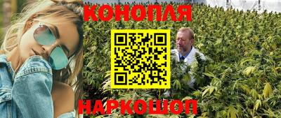 прущая мука Гай