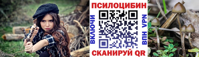 закладки  кракен ССЫЛКА  Псилоцибиновые грибы Psilocybine cubensis  Моздок 