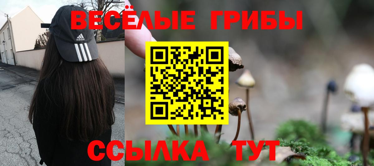 Галлюциногенные грибы GOLDEN TEACHER  Вход с VPN  Моздок 