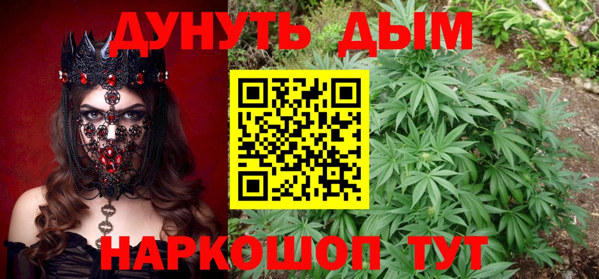Моздок  Канабис индика  Канабис индика  Вход с VPN 
